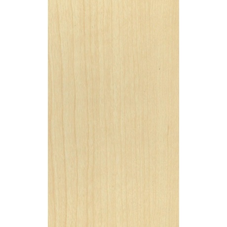 PM Birch M10077.jpg