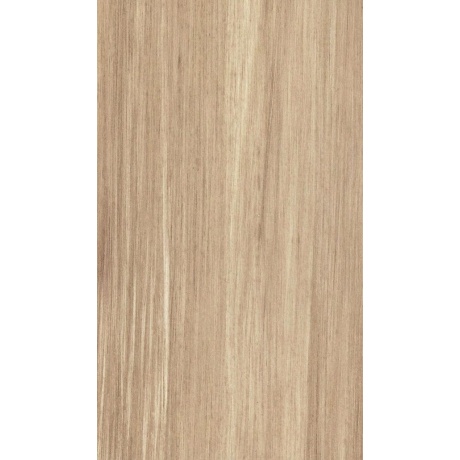 PM Chamois Tropical M14810.jpg