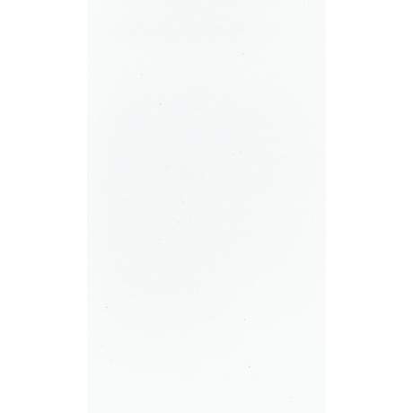 SC White M21091M.jpg