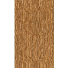 FA Divine Reform M14002