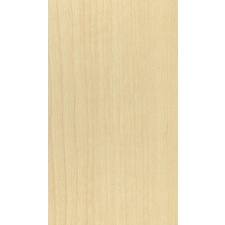 PM Birch / Kask M10077
