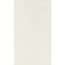 SC Ivory Frost M49916