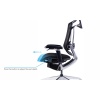 Seat adjustment.jpg